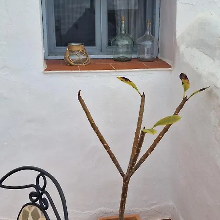 La Casa De Abuela Con Bano Compartido En El Casco Historico De 