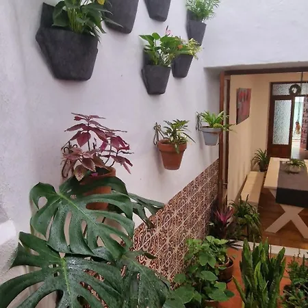 La Casa De Abuela Con Bano Compartido En El Casco Historico De 